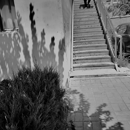 Ng Hon Lam Photography