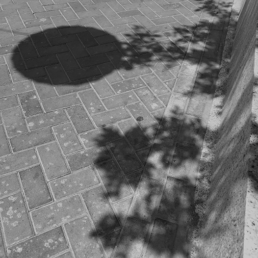 Ng Hon Lam Photography