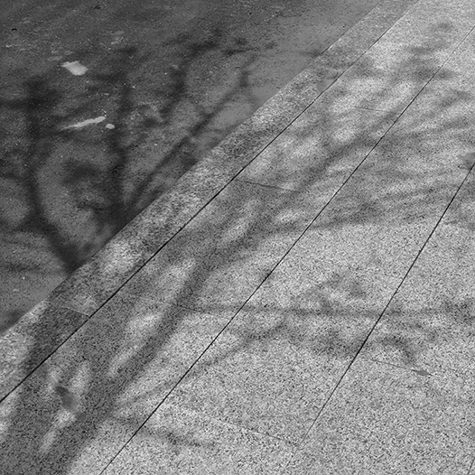 Ng Hon Lam Photography