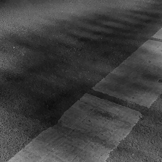 Ng Hon Lam Photography