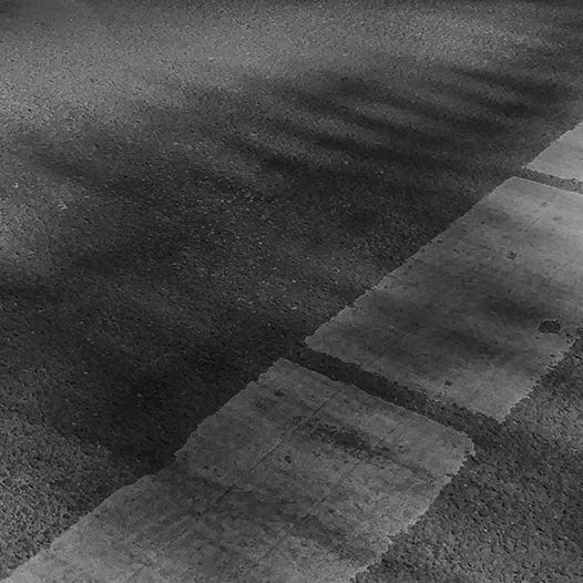 Ng Hon Lam Photography