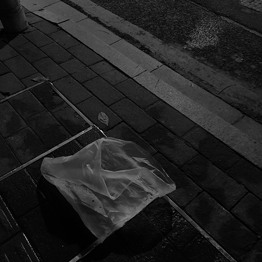 Ng Hon Lam Photography