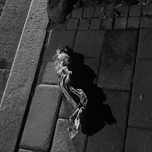 Ng Hon Lam Photography