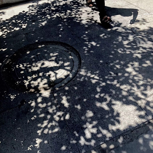 吳漢霖攝影_訊息錄_Ng Hon Lam_WeChat