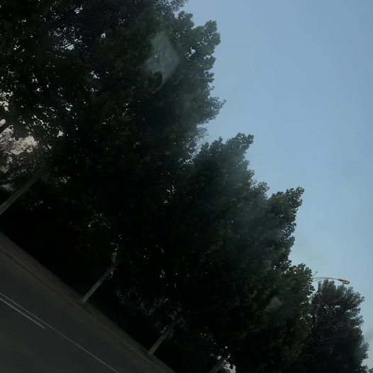 吳漢霖攝影_訊息錄_Ng Hon Lam_WeChat