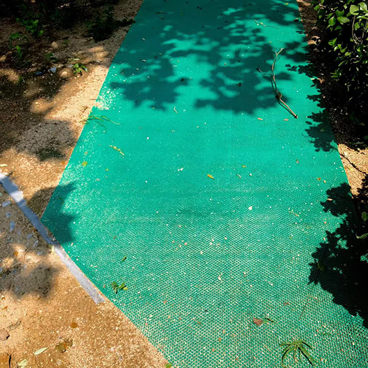 吳漢霖攝影_訊息錄_Ng Hon Lam_WeChat