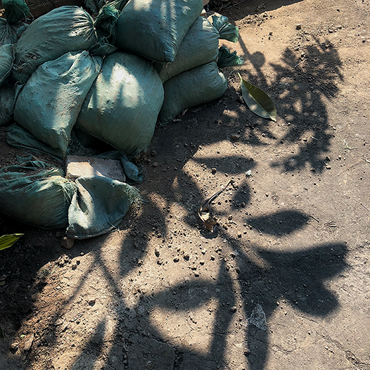 吳漢霖攝影_訊息錄_Ng Hon Lam_WeChat