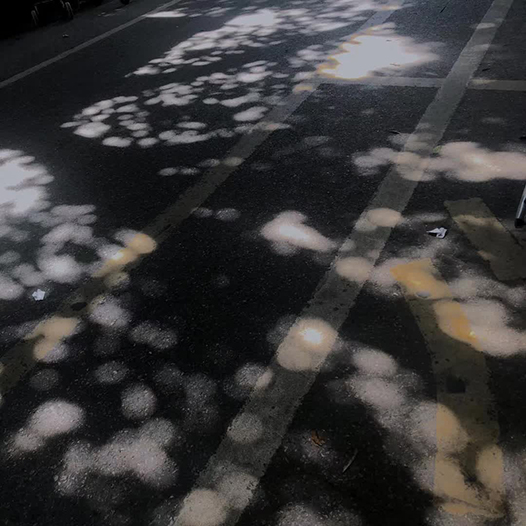 吳漢霖攝影_訊息錄_Ng Hon Lam_WeChat